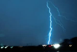 4 killed in lightning strikes in Bengal