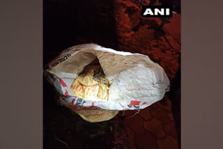 51 bombs recovered near BJP office in Kolkata  51 bombs recovered near BJP office in Kolkata west bengal  കൊല്‍ക്കത്തയില്‍ ബി.ജെ.പി ഓഫിസിനു സമീപം 51 ബോംബുകള്‍ കണ്ടെടുത്തു  ബി.ജെ.പി ഓഫിസിന് സമീപത്തിനു നിന്നും ബോംബുകള്‍ കണ്ടെടുത്തു.  റൗഡി വിരുദ്ധ വിഭാഗം നടത്തിയ തെരച്ചിലിലാണ് 51 ബോംബുകള്‍ കണ്  റൗഡി വിരുദ്ധ വിഭാഗം നടത്തിയ തെരച്ചിലിലാണ് 51 ബോംബുകള്‍ പിടിച്ചെടുത്തത്.  സൈനിക രഹസ്യാന്വേഷണ വിഭാഗം നല്‍കിയ വിവരത്തിന്‍റെ അടിസ്ഥാനത്തിലാണ് തെരച്ചില്‍ നടത്തിയത്.  The search was based on information provided by military intelligence.