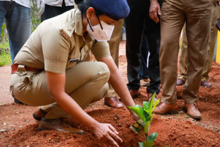 ലോക പരിസ്ഥിതി ദിനത്തിൽ കോട്ടയം ജില്ലാ പോലീസ് ആസ്ഥാന മന്ദിരത്തിന്റെ പരിസരങ്ങളിൽ ജില്ലാ പോലീസ് മേധാവി ഡി.ശില്പ ഐ.പി.എസിന്റെ നേതൃത്വത്തിൽ വൃക്ഷ തൈകൾ നട്ടു.  Tree saplings were planted at the Kottayam district police headquarters  Kottayam district police headquarters  ഡി.ശില്പ ഐ.പി.എസിന്‍റെ നേതൃത്വത്തിലാണ് കോട്ടയം ജില്ല പൊലീസ് ആസ്ഥാനത്ത് വൃക്ഷ തൈകൾ നട്ടുപിടിപ്പിച്ചത്.  കോട്ടയം ജില്ല പൊലീസ് ആസ്ഥാനം  Kottayam District Police Headquarters  ലോക പരിസ്ഥിതി ദിനം