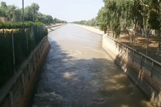 नहरबंदी के बाद हरिके बैराज से छोड़ेगा पानी, Water released from Harike barrage after canalization