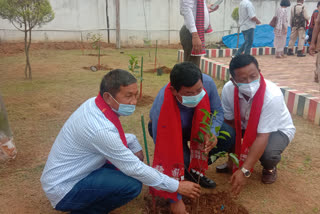 কাৰ্বি আংলং স্বায়ত্ব শাসিত পৰিষদৰ উদ্যোগত উদযাপন বিশ্ব পৰিৱেশ দিৱস