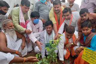 Minister of State planted saplings