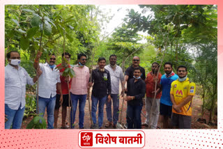 Free distribution of thousands of trees in pandharpur