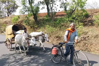 गवळ्यांचे स्थलांतर