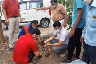 Deputy Collector, Tehsildar and District CEO planting saplings