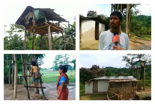 Elevated Houses  Elevated Houses in assam  assam news  ഏറുമാടങ്ങൾ  അസം  അസം വാർത്ത  ബർമഹാരി പഥാർ  tongi ghar  Chang ghar  ടോംഗി ഘർ  ചാങ് ഘർ  Karbi Anglong  Barmahari Pathar  കാർബി ആംഗ്ലോങ്