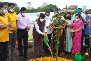 पर्यावरण राज्यमंत्र्यांकडून वृक्षारोपण