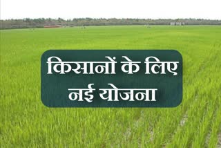 southern-haryana-farmers-get-financial-assistance-for-crop-green-gram-split-instead-of-cotton