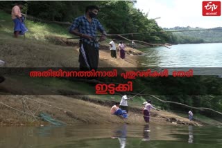 idukki people fishing from dams in lockdown  fishing from dam  lockdown  idukki people  ലോക്ക്ഡൗൺ  അണക്കെട്ടിൽ നിന്നും മത്സ്യസമ്പത്ത്;  അണക്കെട്ട്  മത്സ്യസമ്പത്ത്  ഫിഷറീസ് വകുപ്പ്