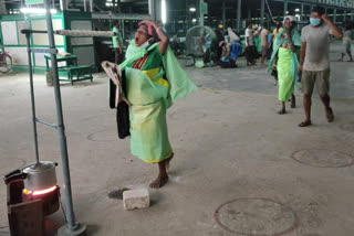 tea-labourers-taking-vapour-to-prevent-coronavirus-at-alipurduar