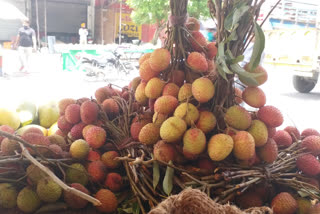 litchi business in paonta sahib,  पांवटा साहिब में लीची का कारोबार