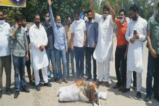 Protest: ਯੂਥ ਕਾਂਗਰਸ ਨੇ ਸਾੜਿਆ ਪ੍ਰਧਾਨ ਮੰਤਰੀ ਮੋਦੀ ਦਾ ਪੁਤਲਾ