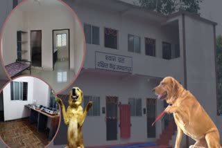 first dog kennel of chhattisgarh