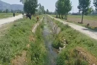 سوپور: لال کول نہر میں پانی کی قلت سے مقامی کسان پریشان