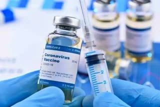 कोरोनावैक टीके को मिली मंजूरी