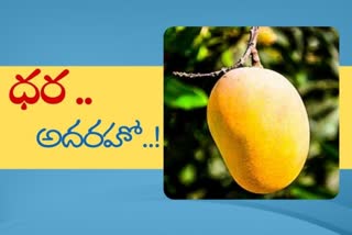 Noorjahan mangoes, mango cost rs.1,000