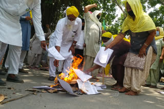 ਕਿਸਾਨਾਂ ਨੇ ਡੀਸੀ ਦਫ਼ਤਰ ਅੱਗੇ ਖੇਤੀ ਕਾਨੂੰਨਾਂ ਦੀਆਂ ਕਾਪੀਆਂ ਸਾੜ ਕੇ ਕੀਤਾ ਰੋਸ ਪ੍ਰਦਰਸ਼ਨ