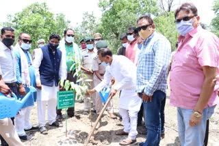 Chief Minister Plantation Promotion Scheme