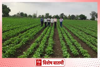 BBF method soybean farming