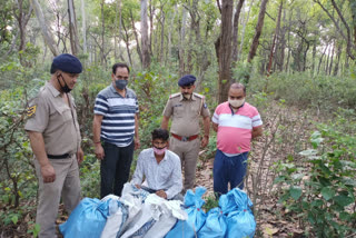 82 kg hemp recovered in Paonta Sahib, पांवटा साहिब में 82 किलो गांजा बरामद