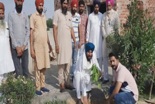 World Environment Day: ਸਮਾਜ ਸੇਵੀ ਸੰਸਥਾ ਵੱਲੋਂ ਲਗਾਏ ਪੌਦੇ