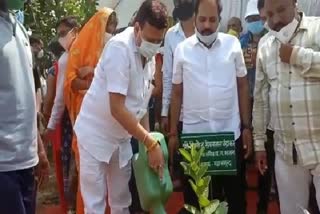 Chief Minister Tree Plantation Incentive Scheme