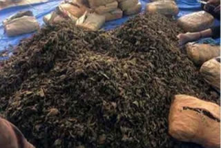 NCB seizes 40 kg ganja