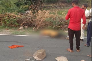 one died in road accident, trailer hit the bike