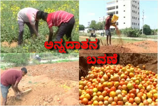 lockdown affect the Tomato, Sevanthi Flower crops cannot be sold by the farmer