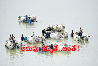 sand-transport-in-the-tungabhadra-river-at-kurnool