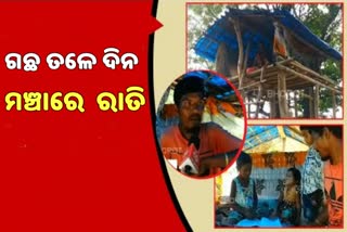 Special story: ତଳେ ହାତୀ,  30 ଫୁଟ ଉପରେ ବିତୁଛି ରାତି