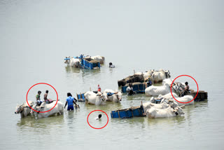 Sand excavation in deep water