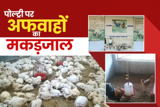 chicken-trader-upset-over-bird-flu-in-jharkhand