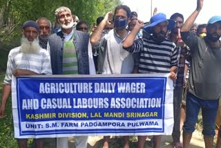 اونتی پورہ: محکمہ زراعت کے کیجول ملازمین کا احتجاج
