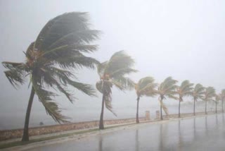 kerala coast  warning strong wind  strong wind kerala  Central Meteorological Department  ശക്തമായ കാറ്റ്  കേരള തീരം  weather updates  കാലാവസ്ഥാ മുന്നറിയിപ്പ്