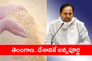 kcr on world food safety day