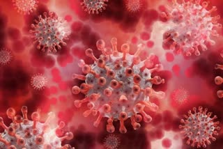 third wave of coronavirus