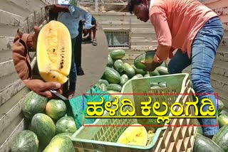 Model Young Farmer made profits by selling Yellow Watermelon at Lockdown