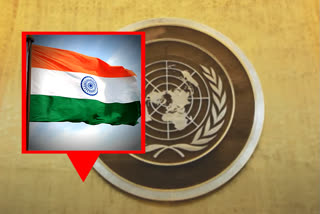 India elected to UN Economic and Social Council