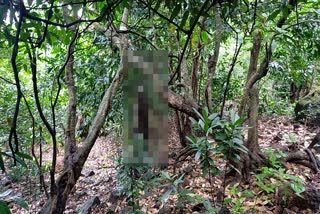 माथेरानच्या जंगलात आढळला अज्ञात व्यक्तीचा मृतदेह