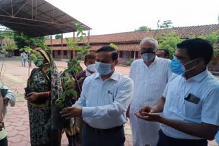 Sagar Administration giving plants