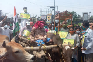 chinsurah MLA protested against petroleum products price hike with bullock carts and palanquins