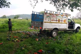 Farmers are driven trucks on their watermelon crop in Hazaribag