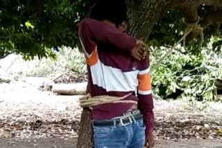 minor-dalit-boy-beaten-up-by-tying-to-tree-for-stealing-mangoes