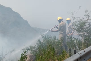 fire broke out in danoh forest
