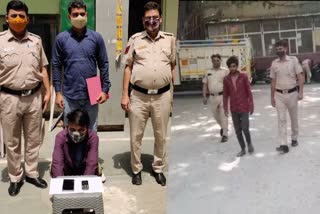 south-delhi-police-arrested-two-accused-in-mehrauli-and-kotla-mubarakpur