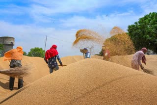 Rajasthan Food Department, target of wheat procurement