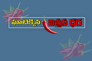 మిరప సాగుపై రైతుల్లో ఆసక్తి.. విత్తన ధరలు పెంచేసి కంపెనీల దోపిడీ