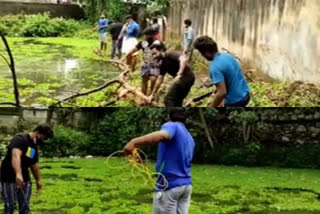 threats posed by drug mafia groups; dyfi mayyanad unit cleaned up the pond and its surroundings  drugmafia  ലഹരി മാഫിയ സംഘങ്ങളുടെ ഭീഷണി; കുളവും പരിസരവും ശുചിയാക്കി ഡി.വൈ.എഫ്.ഐ  കൊല്ലം  സിറിഞ്ചും ലഹരിയും സാമൂഹിക വിരുദ്ധ പ്രവർത്തനവുമായി യുവാക്കൾ, ഞെട്ടിക്കുന്ന കാഴ്‌ചകൾ കൊല്ലത്ത്