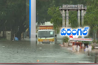 rain in warangal district